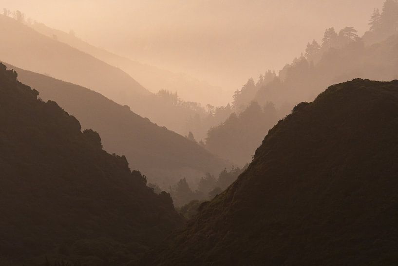 50 shades of brown by Remco Piet