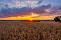 sunset by Mark Lenoire thumbnail