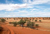 Straße durch die Kalahari-1