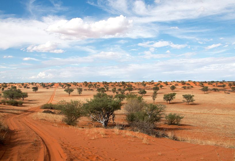 Straße durch die Kalahari-1 van Britta Kärcher
