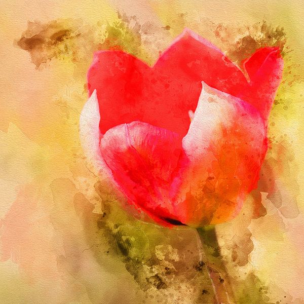 Tulipe d'amour par Art by Jeronimo