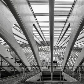 Detailopname Treinstation Luik - Guillemins België van Mario Brussé Fotografie