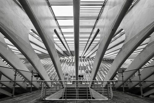 Detailopname Treinstation Luik - Guillemins België
