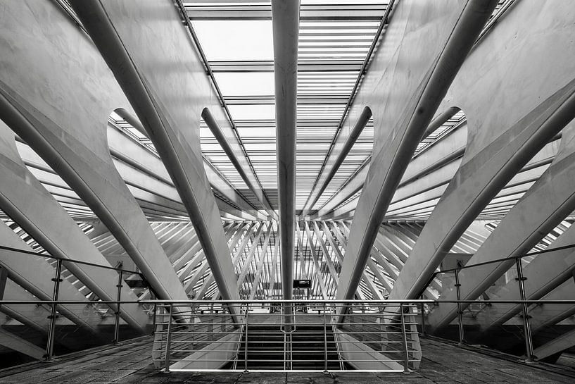 Detail shot Liege - Guillemins train station Belgium by Mario Brussé Fotografie