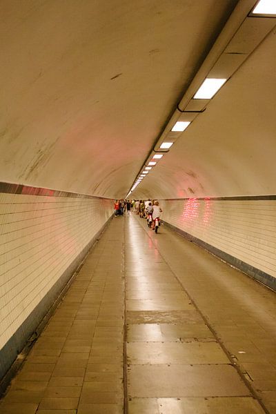 Tunnel van Liesbeth Parlevliet