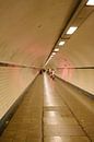Tunnel van Liesbeth Parlevliet thumbnail