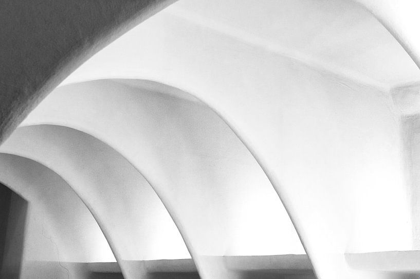 Detail uit Casa Batlló in Barcelona van Ellen van Schravendijk