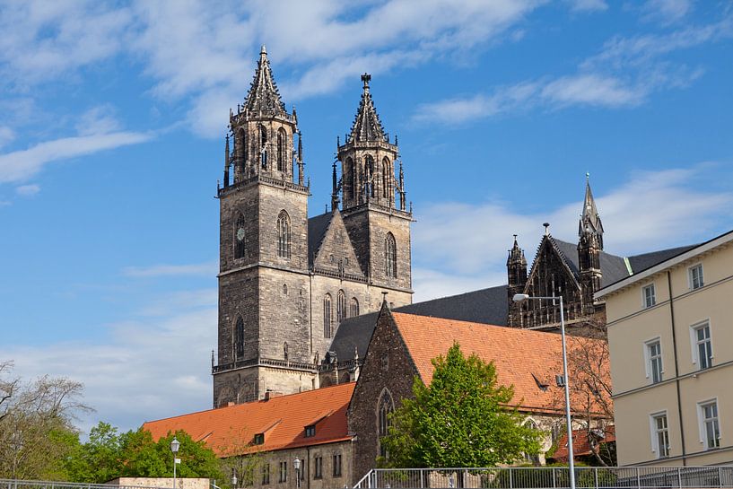Magdeburg Cathedral (Saxony-Anhalt) by t.ART