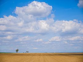 Veld met wolken en landschap