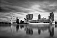  Harmony of the Seas ( Rotterdam B/W )   par Cris Martinez Aperçu