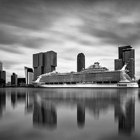  Harmony of the Seas ( Rotterdam B/W )   van Cris Martinez