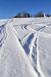 Spuren von Schneemobilen auf einem Feld von Claude Laprise