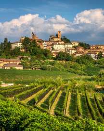 Neive Village and Vineyards View in Langhe, Piedmont by Stefano Orazzini