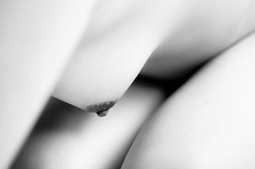 Bodyscape