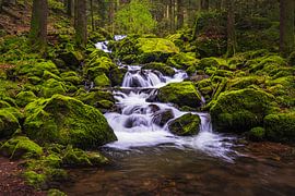 Wasserfall im das Schwarzwald by Goos den Biesen