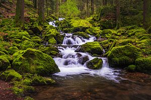 Wasserfall im Schwarzwald von Goos den Biesen