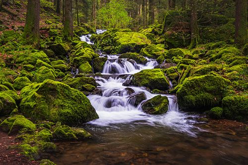 Wasserfall im das Schwarzwald