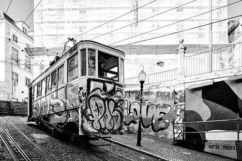 Kleurrijk in zwart-wit