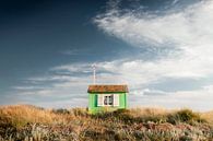 Beach house in the dunes by Claire Droppert thumbnail