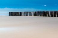 Houten paaltjes op het strand van Frank Lenaerts thumbnail