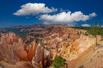 Bryce Canyon, Utah, Verenigde Staten. Panoramafoto. van Gert Hilbink
