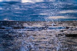 Sprightly by Stephan Zaun