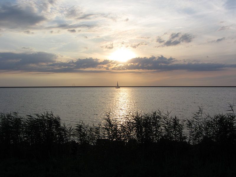 Lonely Sailboat van Nicky`s Prints