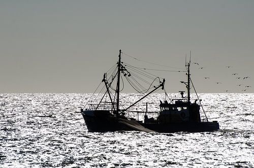 Vissersschip Scheveningen (zwart-wit)