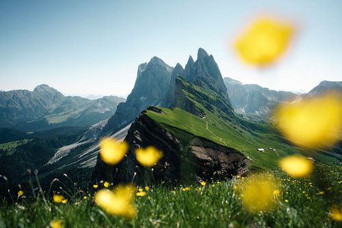Seceda Mountain View Dolomieten
