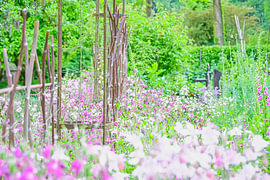 Bloemen in een rustige tuin van Vague & Form