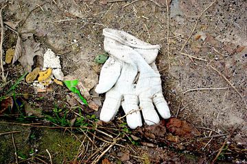 gloves, lost, forgotten by Norbert Sülzner