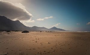Fuerte ventura dune