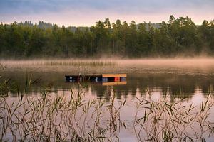 Schwimminsel in einem schwedischen See