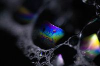 zeepsop macro