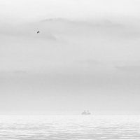 Sereen zeezicht in zwart wit