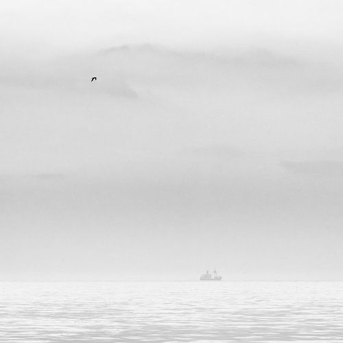 Gelassener Meerblick in Schwarz und Weiß