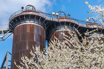 Close up of blossom and rusty industrial buildings by Patrick Verhoef