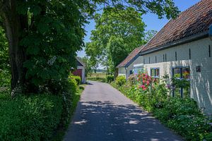 Schattiger Weg entlang der Gein
