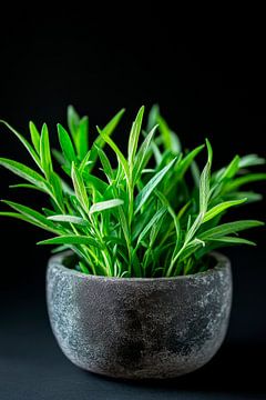 Grüne Pflanze von Poster Art Shop