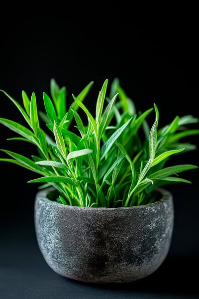 Grüne Pflanze von Poster Art Shop