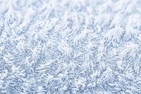 De magie van de vorst, abstracte winterse rijp van dichtbij