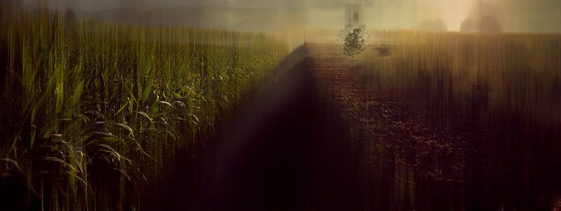 Limburgse Landschap Abstractie #4 van Studio Keserű