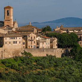 Betona Italy van Frank Lavooij