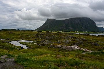 nordische Landschaft von Bettina Schnittert