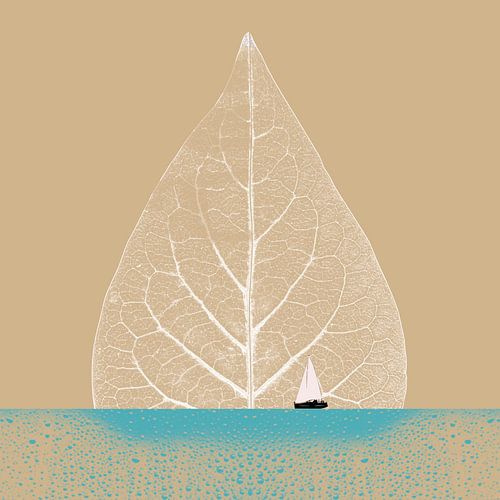 Ocean Wonderland IV-B