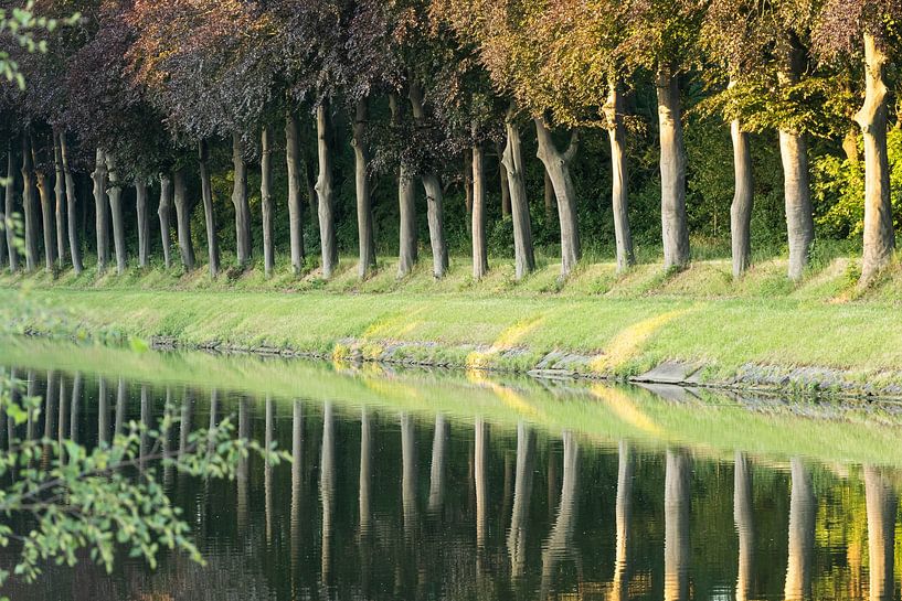 Spiegelreihe von rob creemers