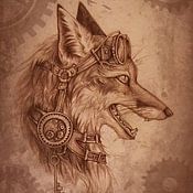 danny nijhuis photo de profil