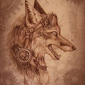 danny nijhuis photo de profil