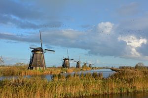 Moulins à rames Kinderdijk Pays-Bas sur My Footprints
