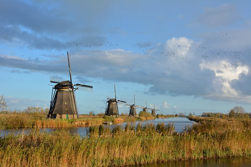 Row mills Kinderdijk Netherlands